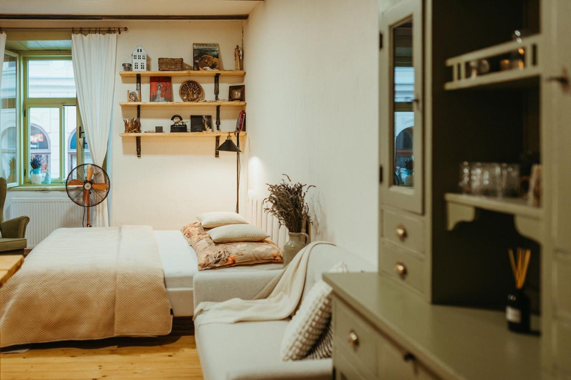 Apartman V Jungovom Dome - V Centre Stiavnice Banská Štiavnica المظهر الخارجي الصورة